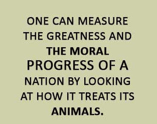 Save-Wildlife-Quotes-7.jpg