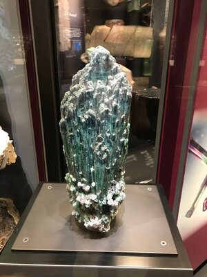 IMG_3873.jpg