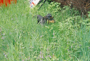 0662770-R1-027-12.jpg