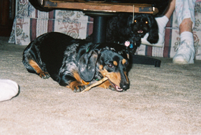 0662770-R1-017-7.jpg