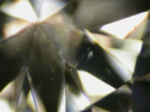 Web 3.110 I SI1MAG.jpg