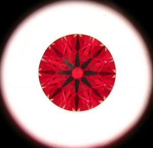 732.jpg