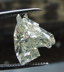 horse2.jpg