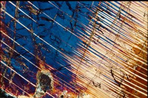 Photomicroscopy_1.JPG