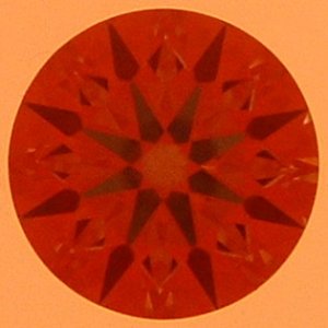 DSCF0141.JPG
