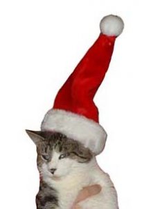 tcchristmas.jpg