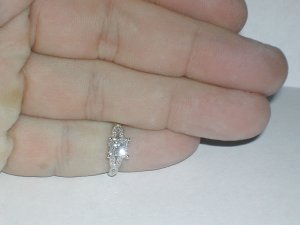 DSCN1041.jpg