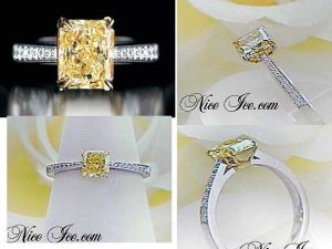 niceIce-ring.jpg niceIce-ring.jpg