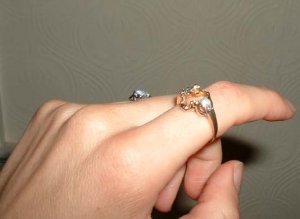 goldring4.jpg