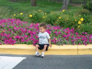 flowersit.JPG