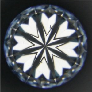 web609367H.JPG