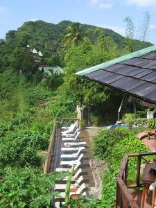 veiw-from-dasheen[1].jpg