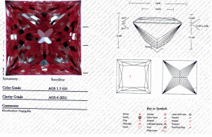 Princess Cut.GIF Princess Cut.GIF