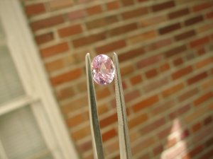 IMG_2361_1_1.JPG
