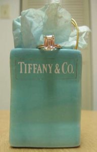 TiffanyBag.jpg