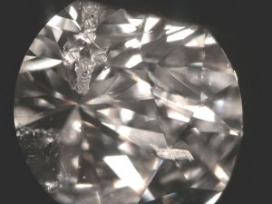 Inclusions in Stone 1 sm.JPG