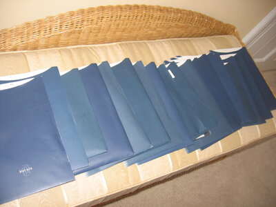 Blue Nile paperwork collection.JPG