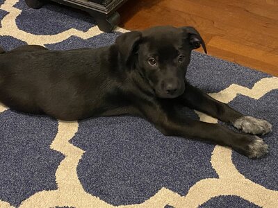 BECC0781-CA29-4235-BA23-BBDE005FFC91.jpeg