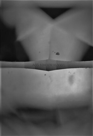 IMG_1843 (3).jpg