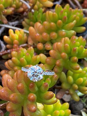 Ring 2.jpg Ring 2.jpg