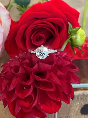 Ring 3.jpg Ring 3.jpg