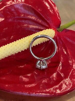 Ring 4.jpg