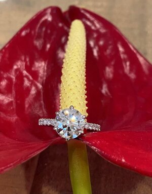 Ring 5.jpg Ring 5.jpg