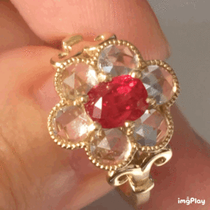 91145356-5532-4C00-BDBE-BD139B57632E.gif
