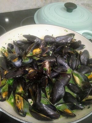 IMG_20210710_2139040.jpeg