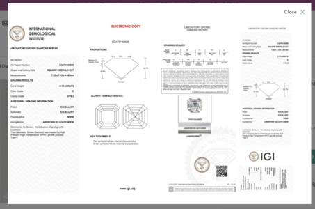 Screen Shot 2021-08-10 at 9.11.59 PM.png