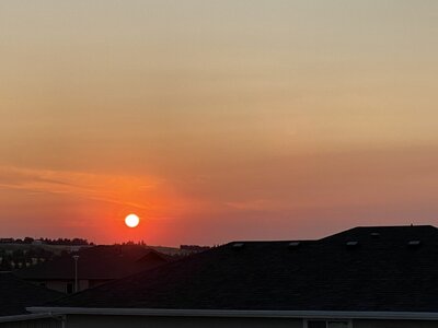 IMG_1177.JPG