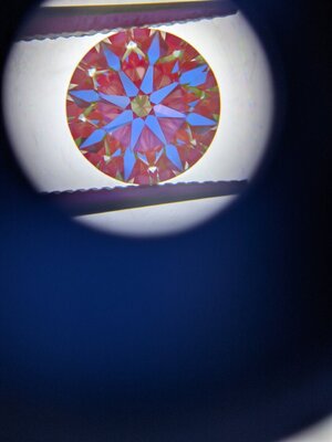 PXL_20210815_035554424.jpg