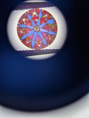 PXL_20210815_035508927.jpg