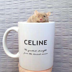 mugshot 3.png