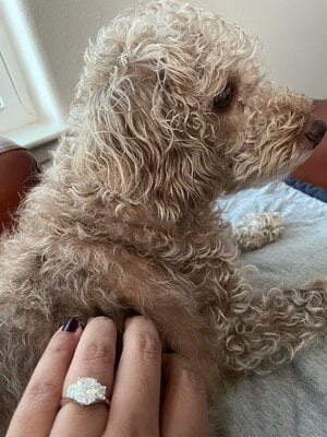 IMG_0610.jpeg