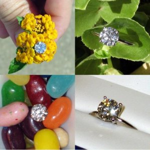 ring collage 5a.JPG