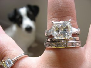 IMG_1413_1.JPG