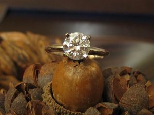 IMG_1183-mandarine.JPG