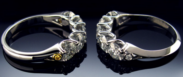 ring shank.png ring shank.png