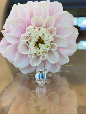 Ring 11.jpg Ring 11.jpg