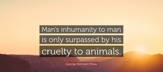 man'sinhumanitytoanimals.jpg