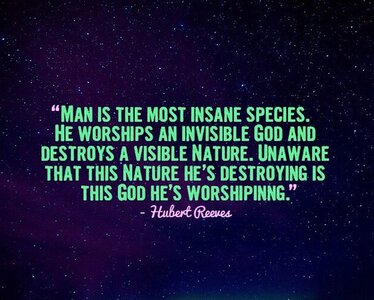 insanespecies.jpg