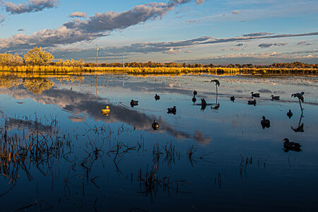Early morning at the duck club 2021-1480.jpg