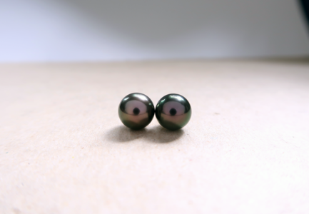 STUDS1.png