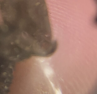 1C2DC19C-9E78-4ED8-BA5E-B09F4FD02339.jpeg