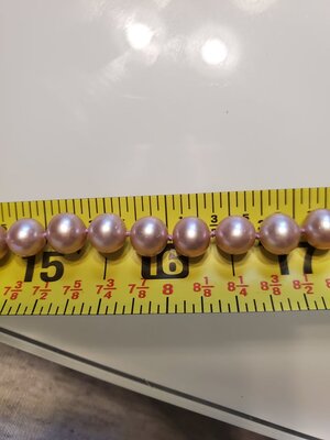 255855875_452636342881073_1355762387592002622_n.jpg 255855875_452636342881073_1355762387592002622_n.jpg