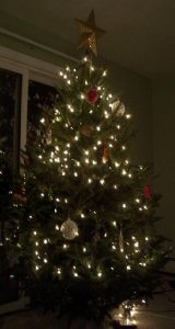 first christmas tree at night 002.jpg