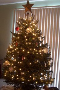 first christmas tree 002.jpg