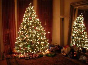 Tree2007A0001.jpg