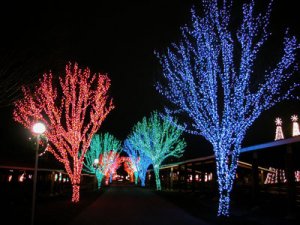 christmaslights-2007.jpg christmaslights-2007.jpg